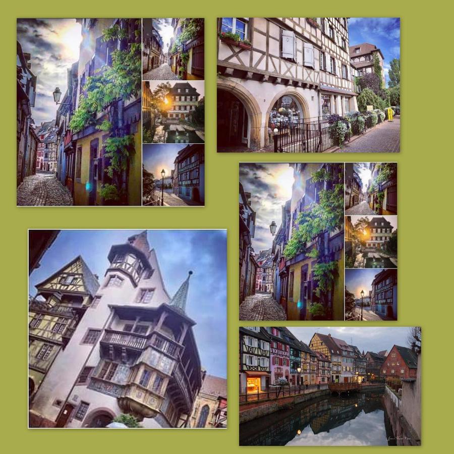 N¨°1 Schongauer Gite De Charme Centre Touristique Colmar Eksteriør billede