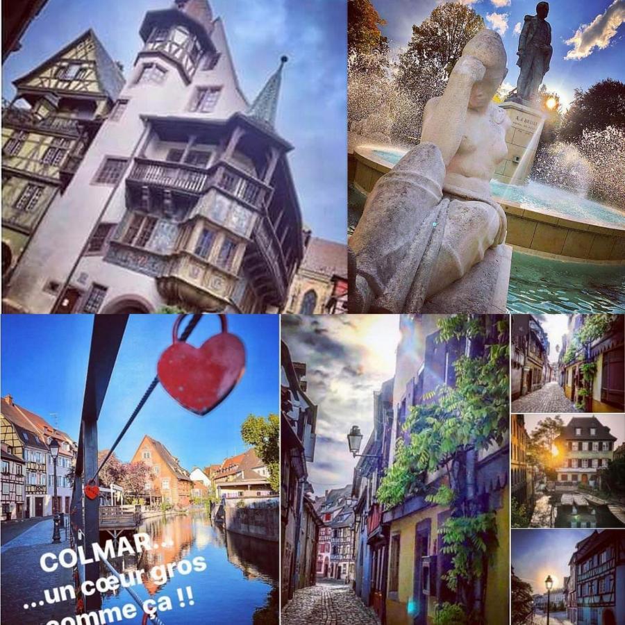 N¨°1 Schongauer Gite De Charme Centre Touristique Colmar Eksteriør billede